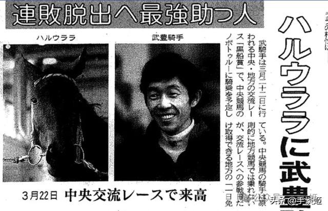 开云体育下载APP-赛马界知名赛马乌拉拉去世